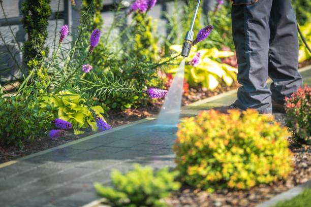 Best Winterizing Services  in Purcell, OK